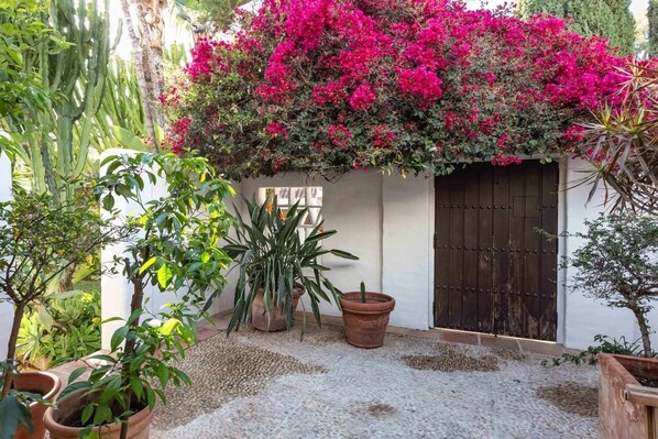 Une cour avec des plantes en pot, un cactus et un mur avec une porte.