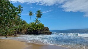 A beach with palm trees and rocky outcrops.