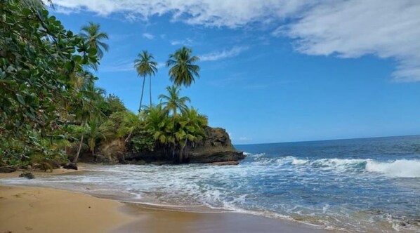 Chaise longue, serviettes de plage