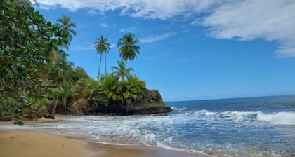 Villa Port Vell, new home 4 BR/4 BA, pool and bar! Now with A/C