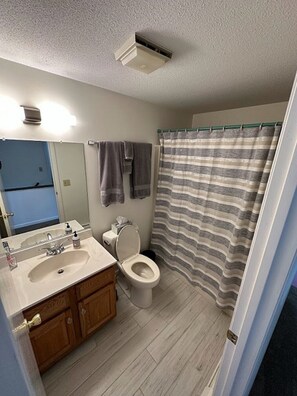 Hair dryer, towels, soap, toilet paper