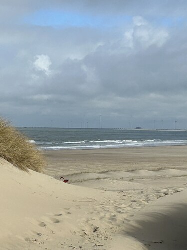 Chalet in the family paradise "Olmenveld", Zeeland