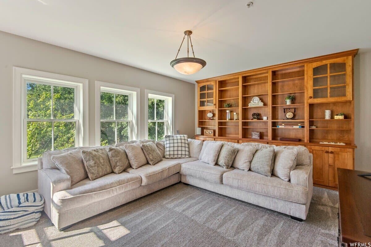 TV, caminetto, libri, studio