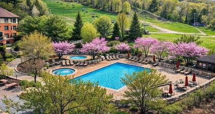 Heated Pool Hot Tubs Sauna Gym Mtn Front Appalachian @ Mtn Creek #220