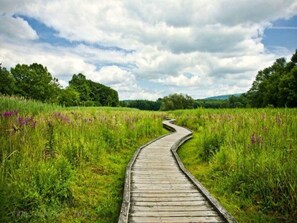 A wooden boardwalk winding through a grassy field with wildflowers and trees in the background.