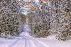 A snow-covered road flanked by trees.