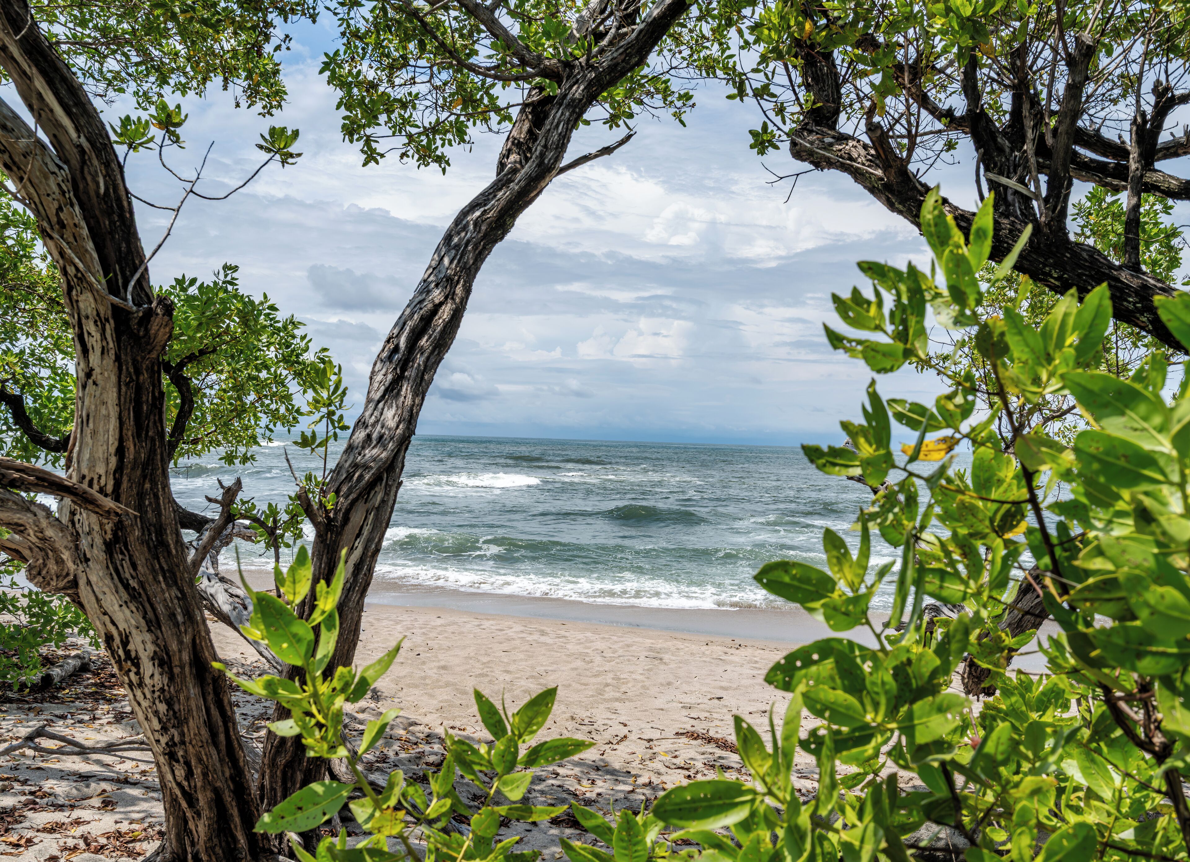 Plage, chaises longues, serviettes de plage
