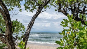 Une plage avec un arbre au premier plan et l’océan en arrière-plan.
