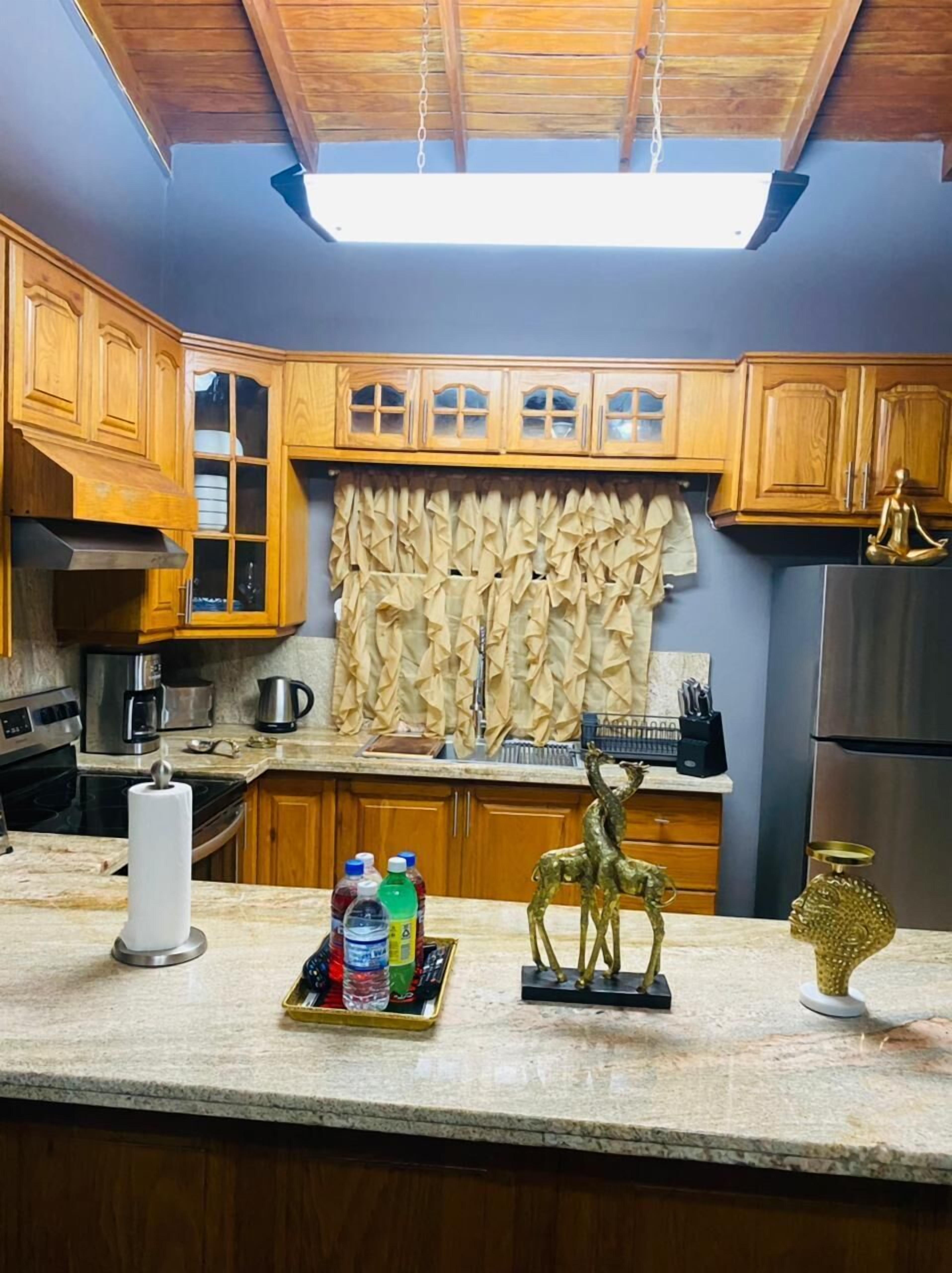 Une cuisine avec des meubles de rangement en bois, un réfrigérateur en acier inoxydable, un luminaire au plafond et un élément décoratif mural.