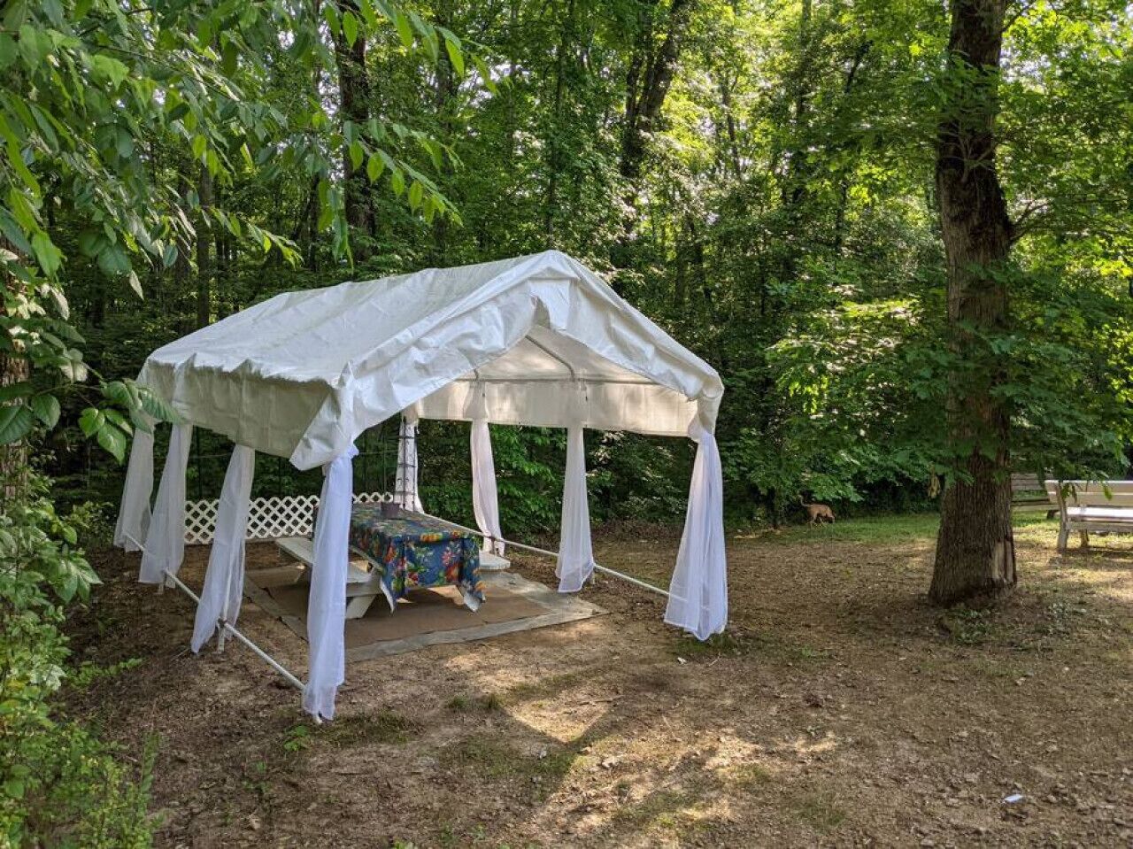 A covered outdoor seating area with a table and chairs, surrounded by trees.