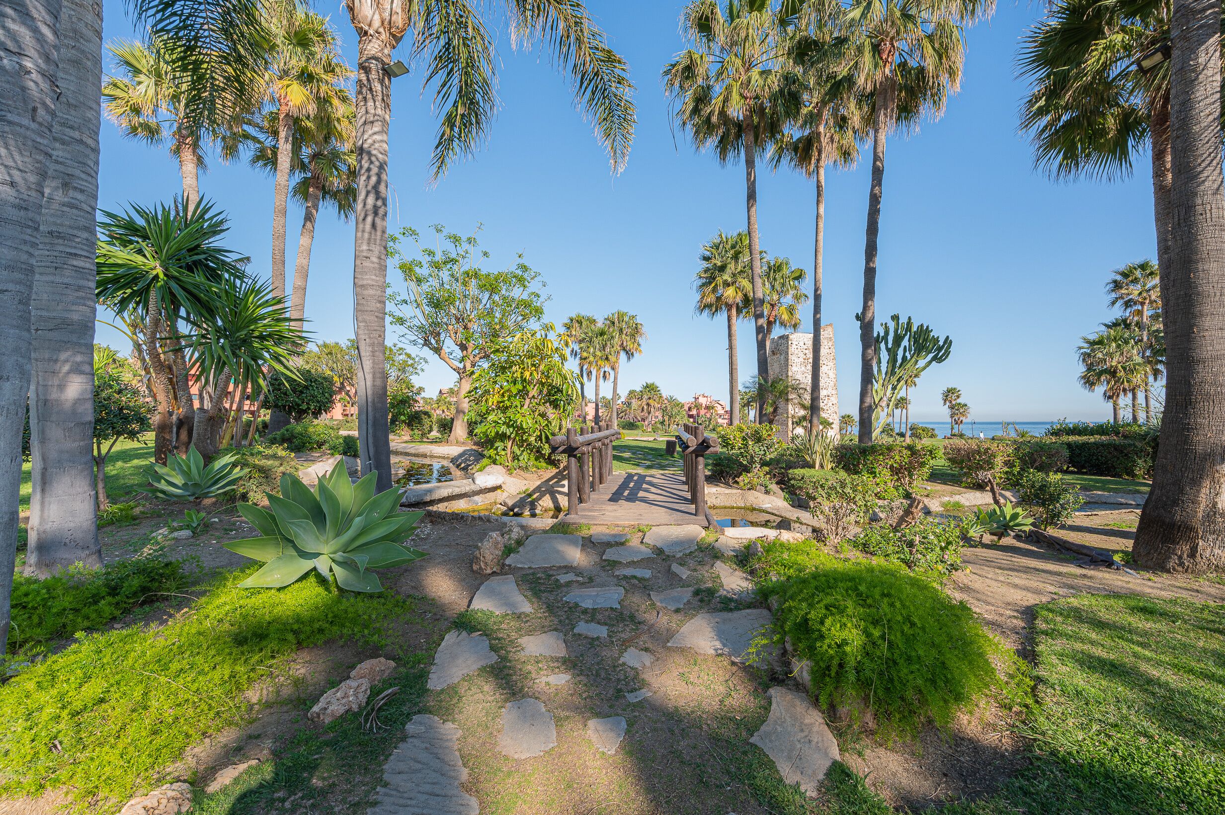 A pathway leading through a garden with palm trees and large green plants.