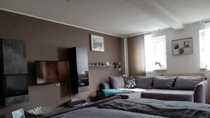 Un dormitorio moderno con sofá cama, televisor montado en la pared y estantería.