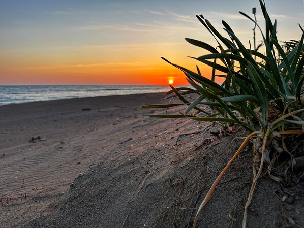 On the beach, sun-loungers, beach towels