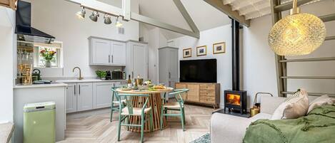 Smart TV, fireplace, books, music library