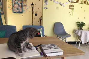 Interior - Fenghuang Snail Inn (Fenghuang)