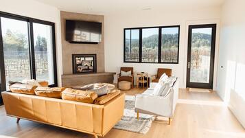 TV connectée, cheminée, chaßne hi-fi