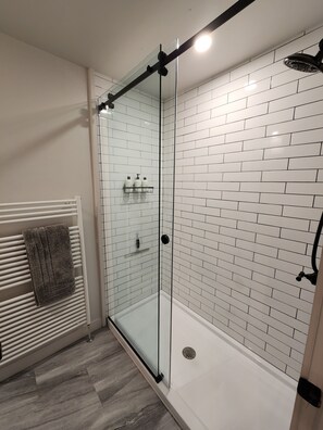 Shower, eco-friendly toiletries, hair dryer, towels