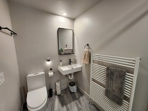 Shower, eco-friendly toiletries, hair dryer, towels