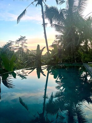 Vista despejada de una piscina rodeada de palmeras y vegetación tropical, que refleja el cielo y los árboles.