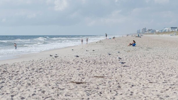 A beach with people walking and sitting, and birds on the sand. - Walk to Beach, Full Kitchen, Cozy Surf Studio (Carolina Beach)