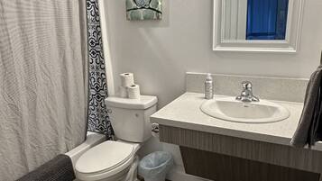 Eco-friendly toiletries, hair dryer, towels, soap