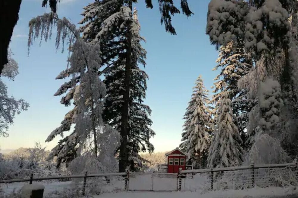 Santiam Canyon Tiny House on Private 1+ Acre
