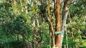 Jardín