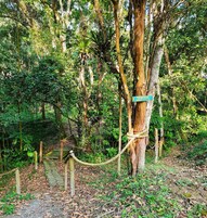 Jardín
