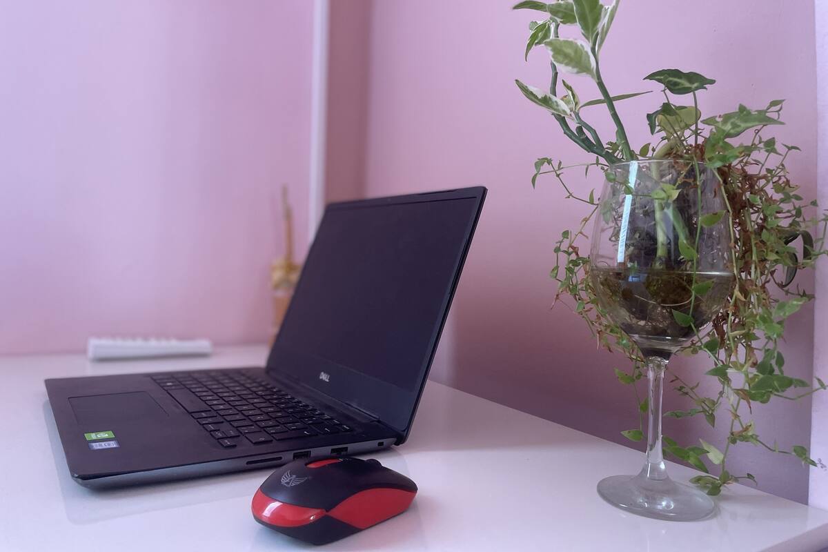 Design-Zweibettzimmer | Schallisolierte Zimmer, Bügeleisen/Bügelbrett, kostenloses WLAN