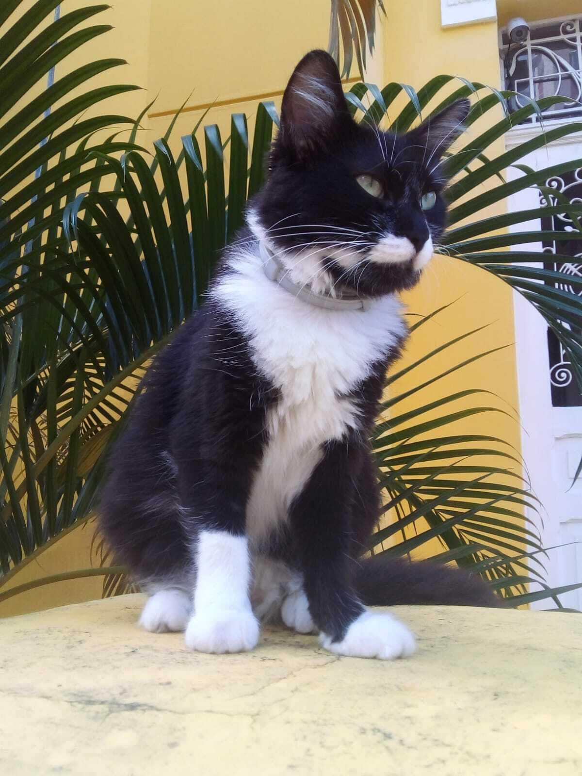 Photo - Sunflower Hostel