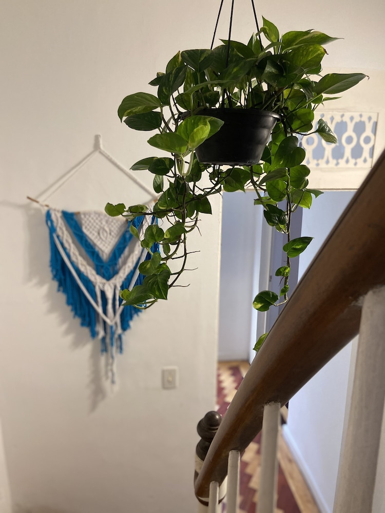 Odara Hostel & Guesthouse photo 7