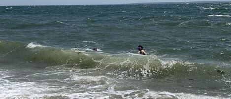 Playa