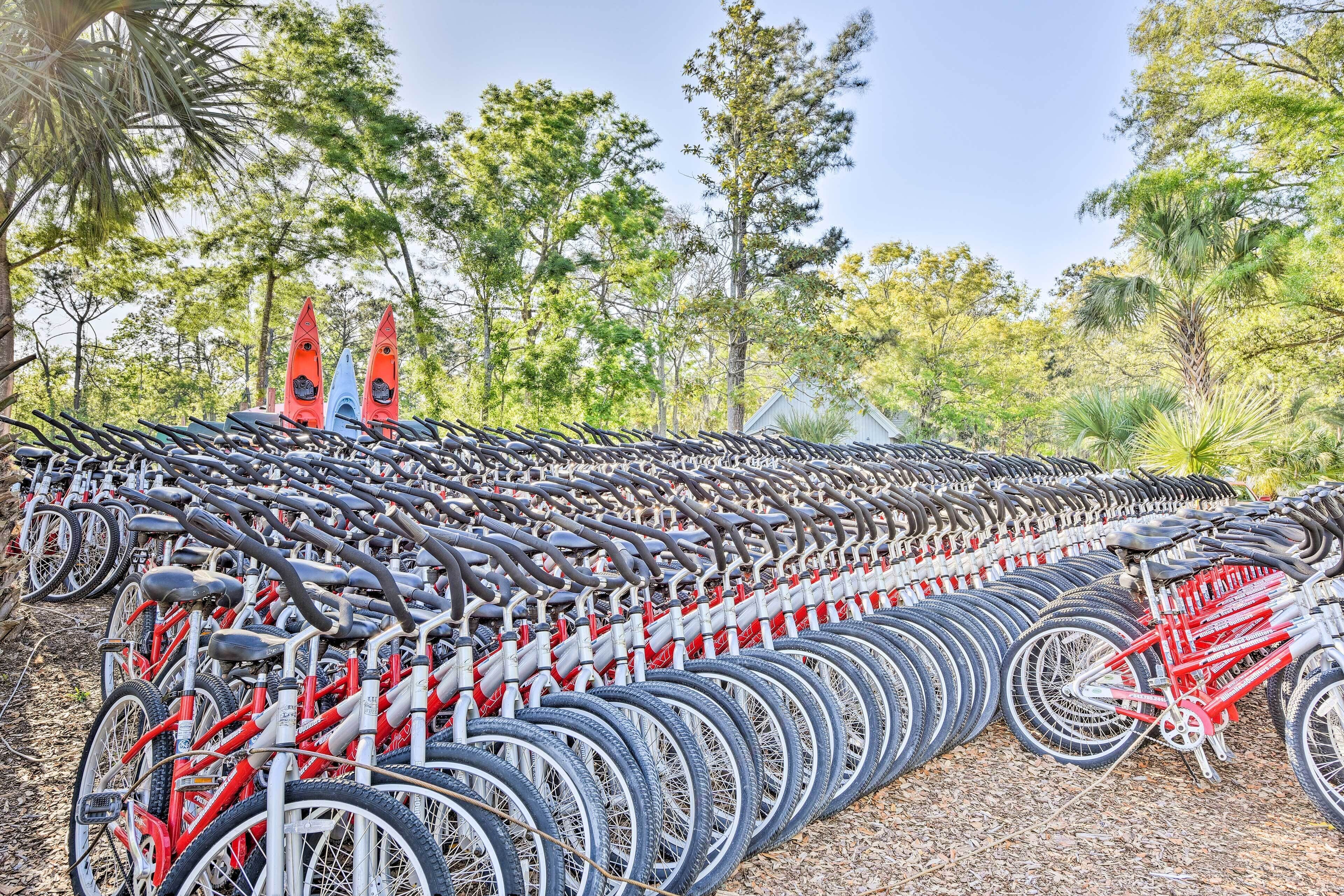 Una fila de bicicletas estacionadas al aire libre, rodeadas de árboles.