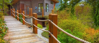 The Perch-Cabina-Bagno privato-Vista sulla laguna-Moderna