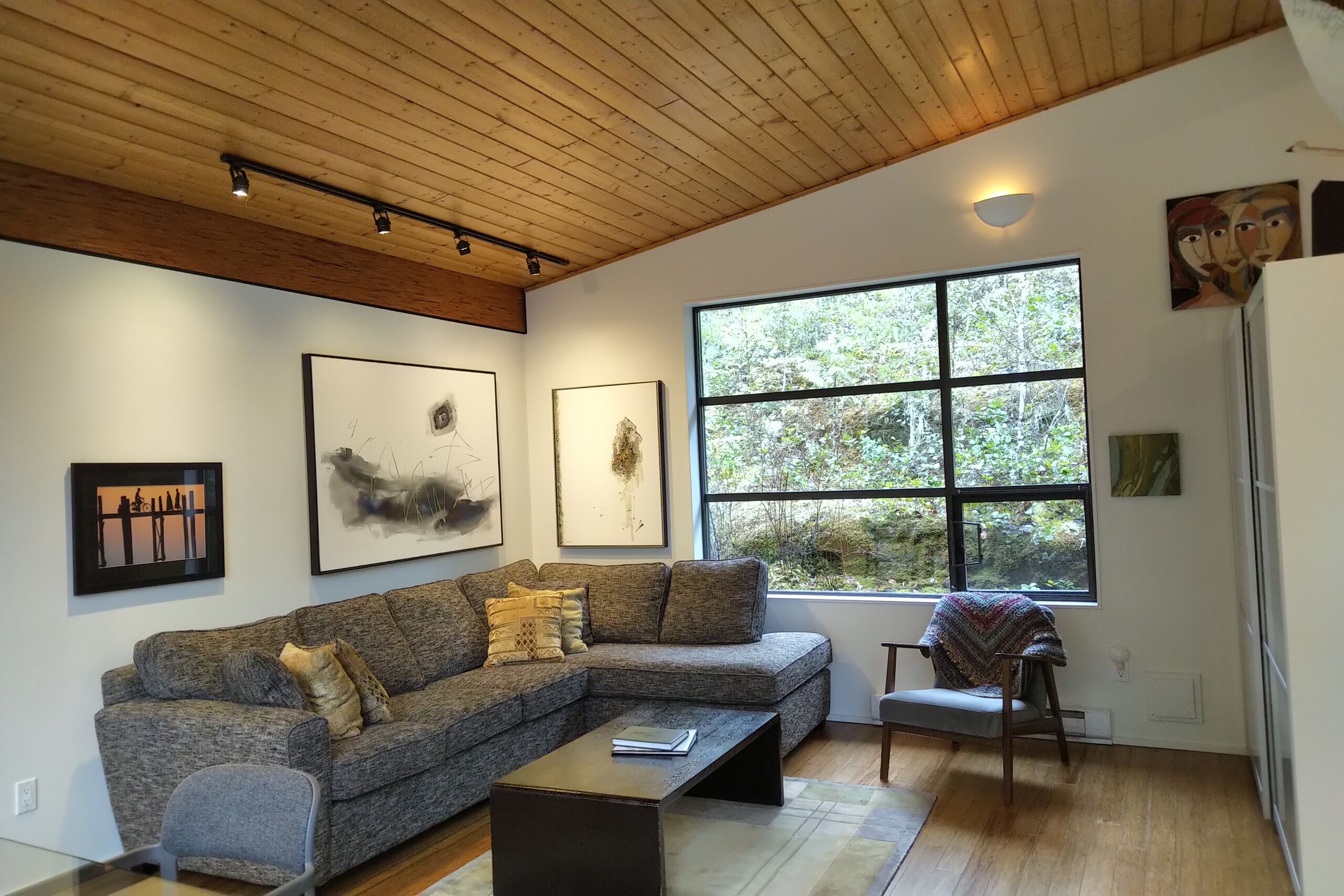 Een televisie, een open haard, een dvd-speler en boeken