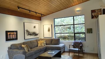 Televisión, chimenea, reproductor de DVD, libros