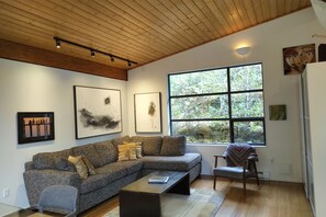 TV, fireplace, DVD player, books