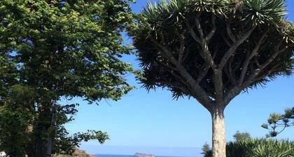 Casa do Monte - Garden & Sea sight