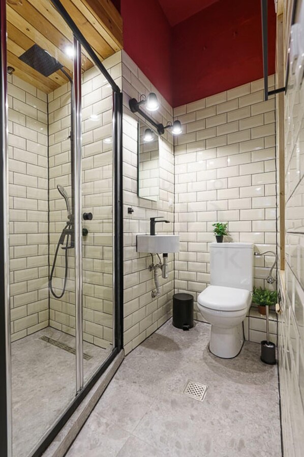 Departamento | Baño | Regadera y toallas 