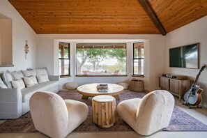 Smart TV, fireplace, books, music library