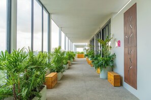 Hallway - Hotel Mio Riviera Nayarit - Adults Only (Nuevo Nayarit)