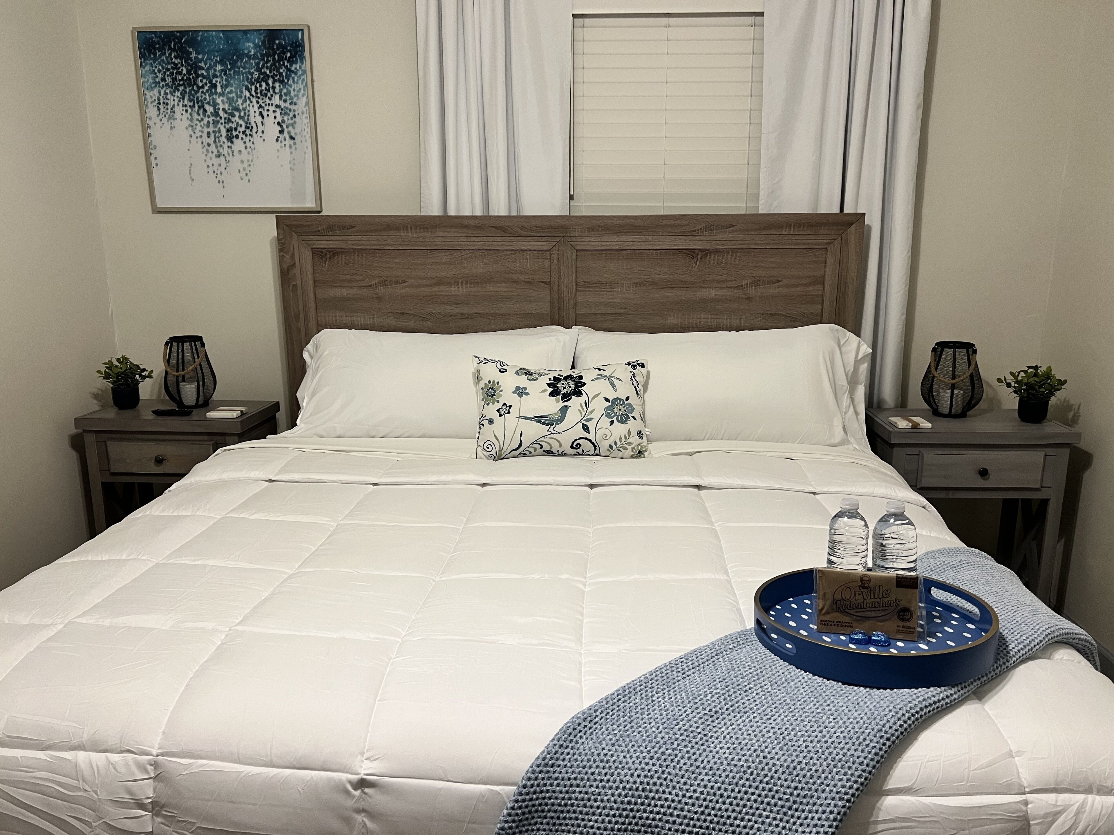 Pet friendly house with 3 king beds and fenced in back yard.