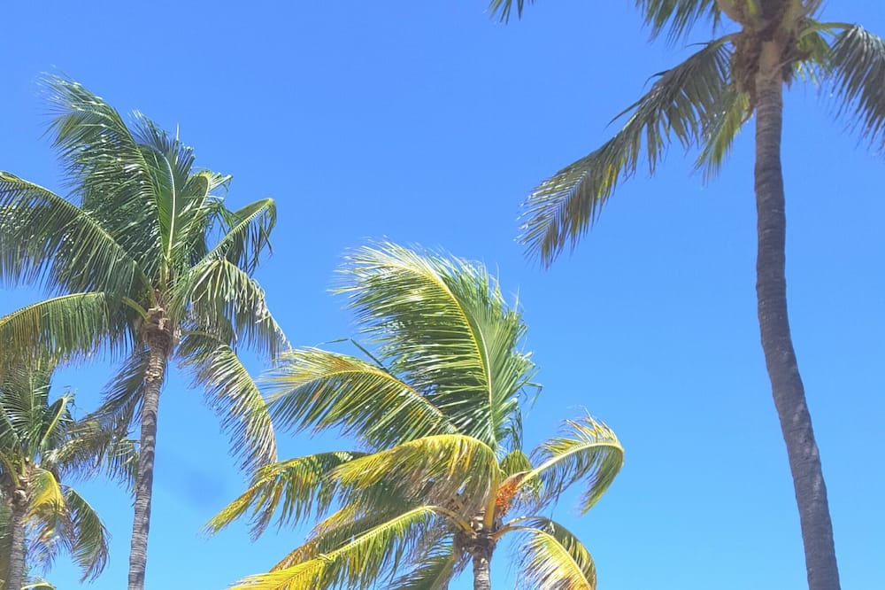 Deerfield Beach Condo