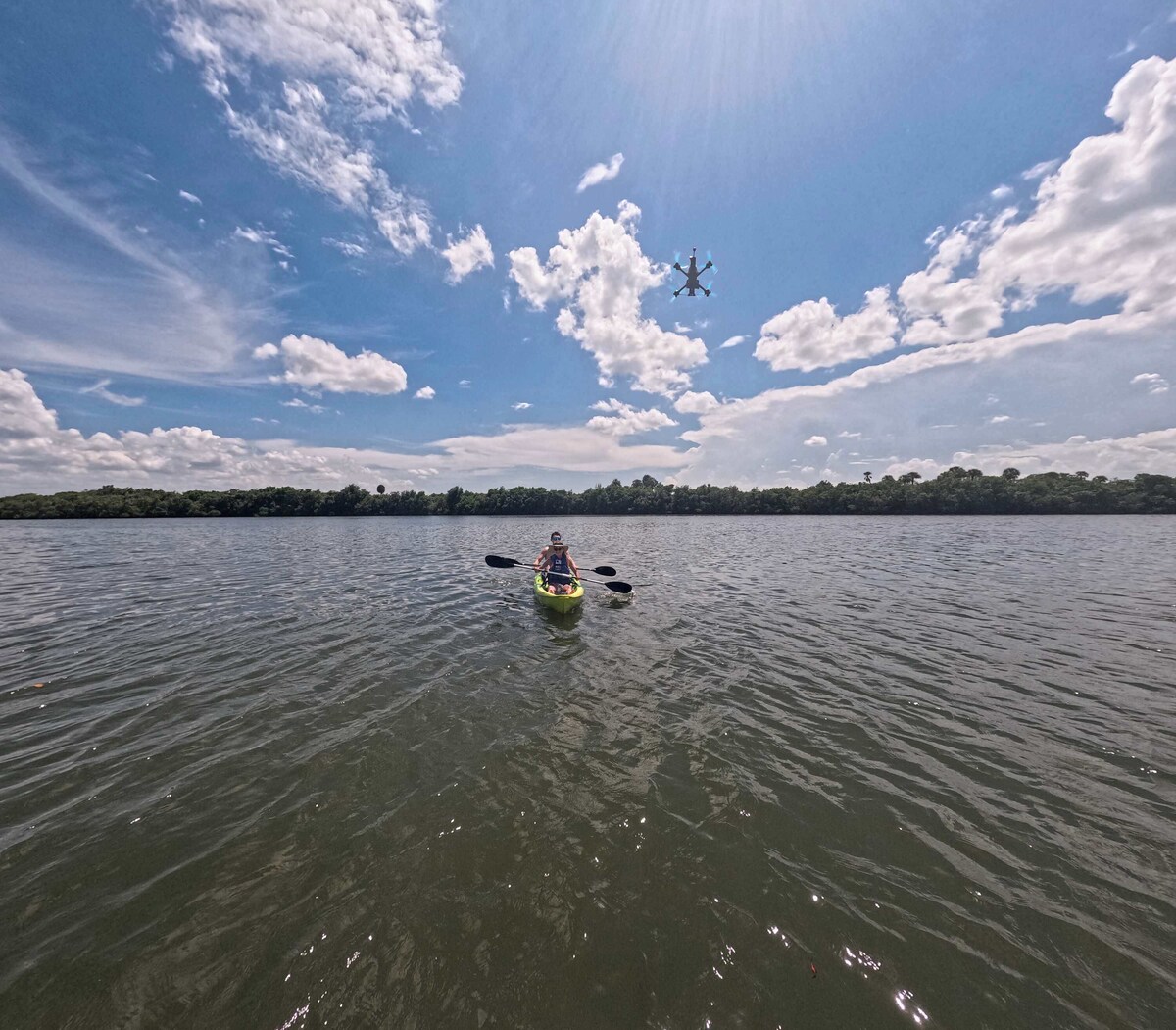 Værtens profilbillede