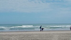 Une plage avec un rivage sablonneux et des vagues en arrière-plan.