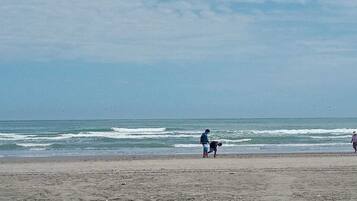 Espreguiçadeiras, toalhas de praia