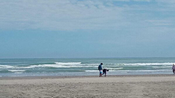 Una playa con arena y olas al fondo.