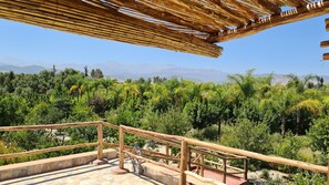 Property grounds - Luxury 3 BR Villa in Marrakesh with Private pool, Marrakesh Villa 1000 (Marrakesh)