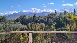 Paesaggio montuoso con cime innevate e una fitta foresta in primo piano.