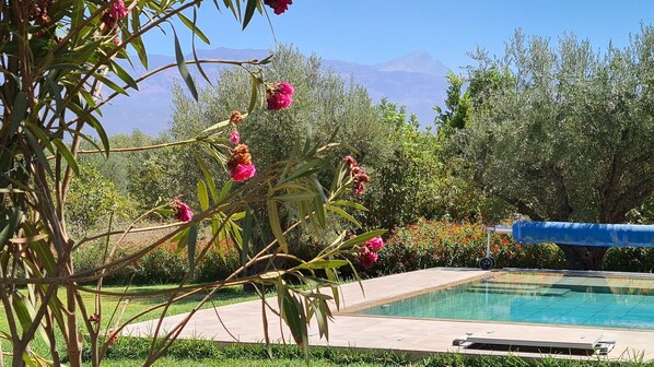 Pool - Luxury 3 BR Villa in Marrakesh with Private pool, Marrakesh Villa 1000 (Marrakesh)